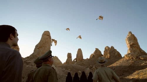 P-51 Dragon Fighter Bild 6