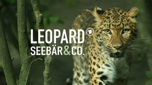 Leopard, Seebär & Co. Bild 1
