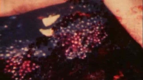 Garden of Luxor Bild 1