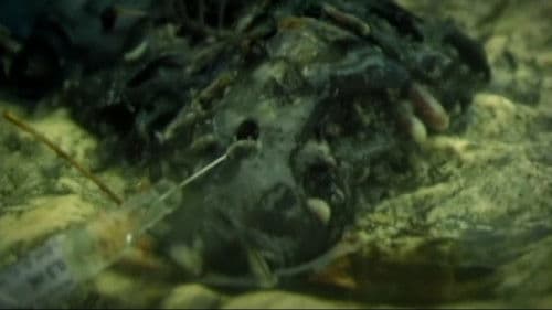 Cannibal - Aus dem Tagebuch des Kannibalen Bild 5