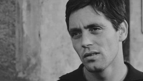 Accattone - Wer nie sein Brot mit Tränen aß Bild 3