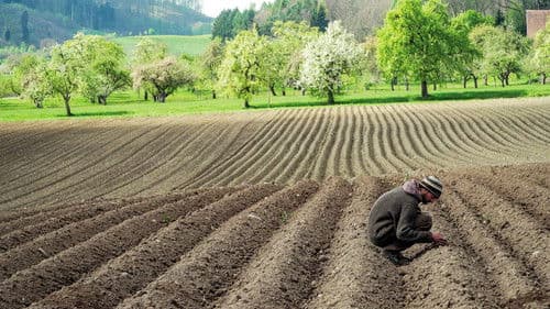 Unser Boden, unser Erbe Bild 6