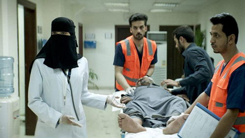 Die perfekte Kandidatin Bild 3