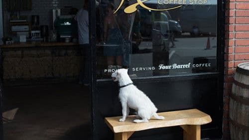 Once Upon a Time in Venice Bild 5