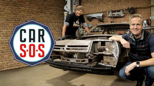 Car S.O.S. Bild 6