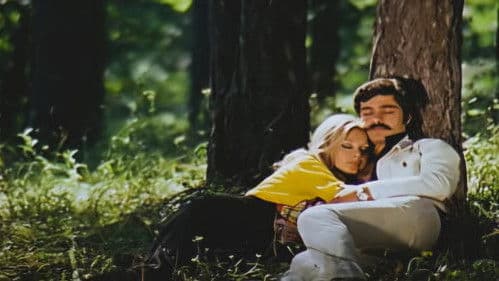 Almanyalı Yarim Bild 1