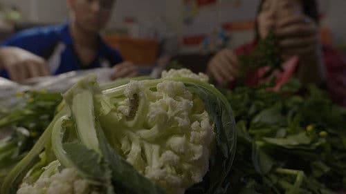 愛的輪候碼 Bild 4