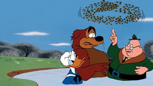 Der Honigdieb Bild 4