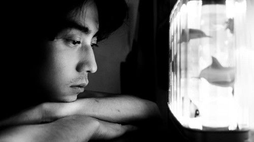 Queerpanorama Bild 8