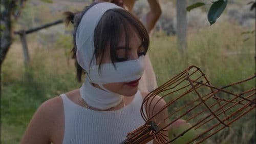 Pure Immersion Bild 1