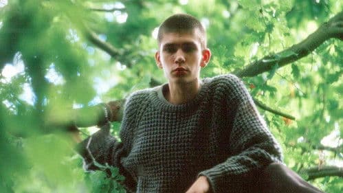 My Brother Tom Bild 2