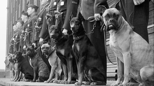 Bêtes de guerre Bild 1