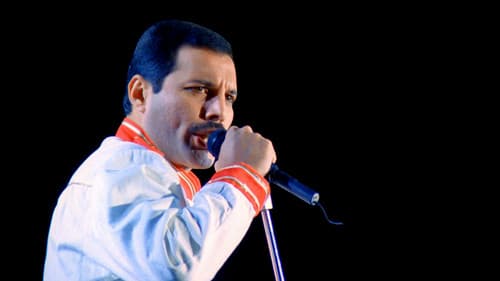Queen: Hungarian Rhapsody - Live in Budapest '86 Bild 3