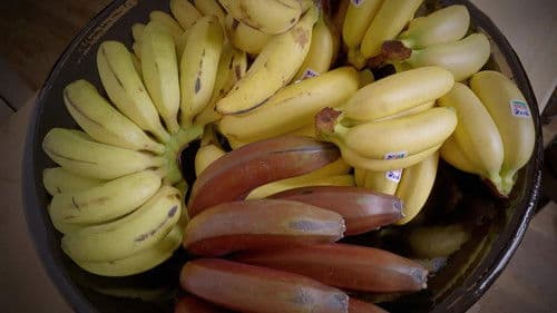 Gardons la banane ! Bild 1