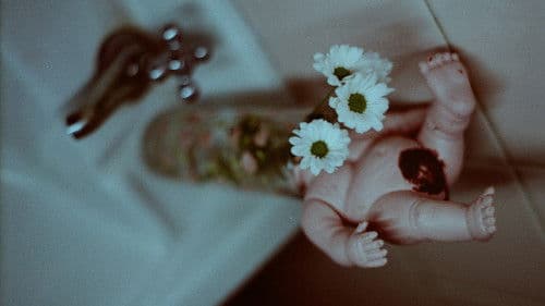 As Tristes Lágrimas do Crocodilo Bild 1