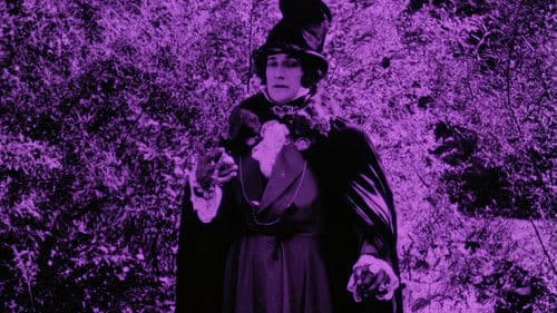 Les Aventures de Robert Macaire Bild 1