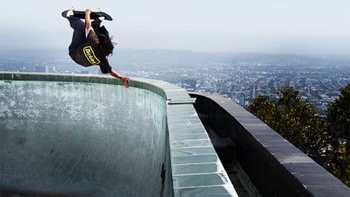 Dickies: Honeymoon Bild 1