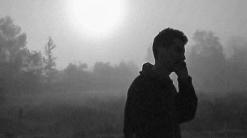 (terep)SZEMLE Bild 1