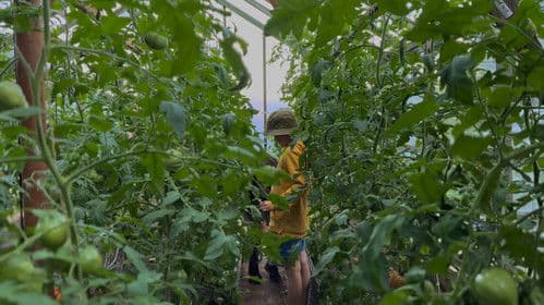 Nežēlīgā svētlaime Bild 4