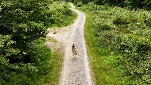 Dear Departed Bild 3