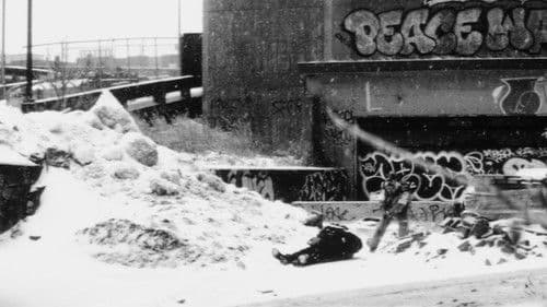 Read-Only Memory Bild 2