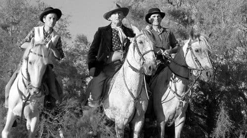 Der weiße Hengst Bild 8