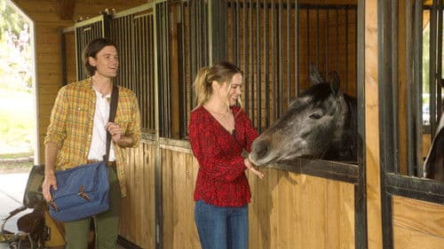 Zwei Herzen im Sonnenuntergang Bild 3