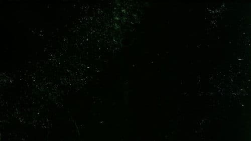 Here are some Images Bild 1