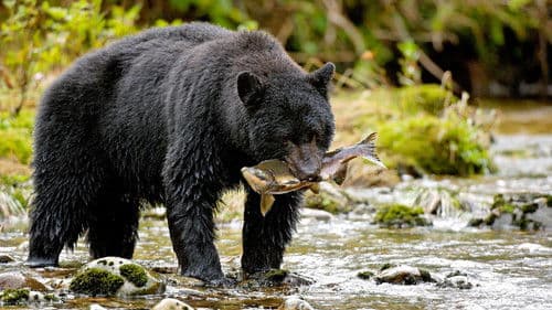 Deadly Instincts Bild 3