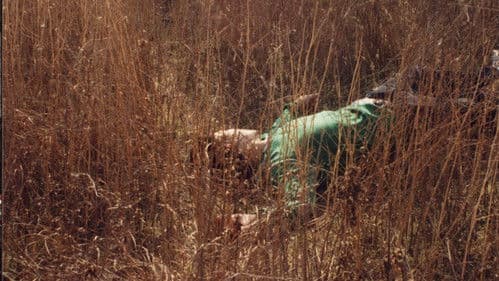 Rest in the Light Bild 1