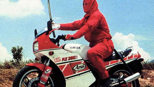 Ninja the Protector Bild 1