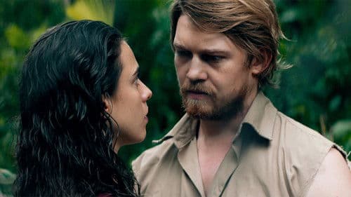 Stars at Noon Bild 3