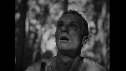 Before We Sleep Bild 1