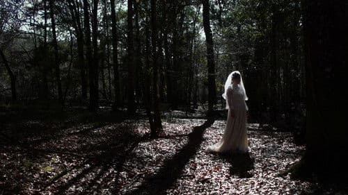 Spirits in the Storm Bild 1