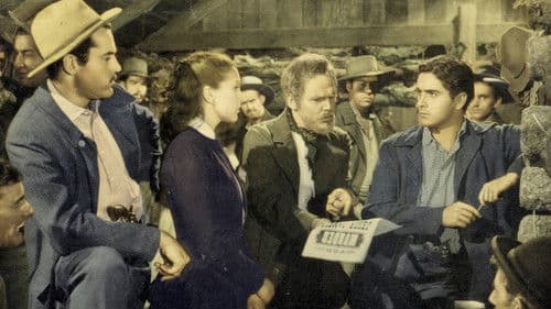 Jesse James - Mann ohne Gesetz Bild 5