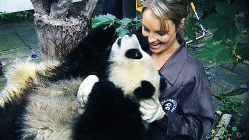 Sneezing Baby Panda: The Movie Bild 1
