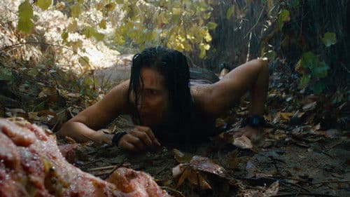 Shallow Water Bild 1