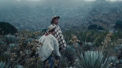 Entre la niebla Bild 2