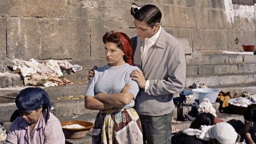 O Passarinho da Ribeira Bild 1