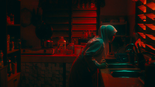 Tiger Stripes Bild 6