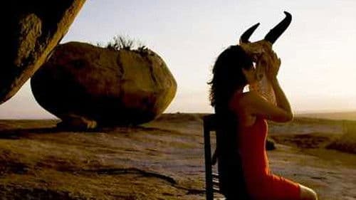 Dois Sertões Bild 1