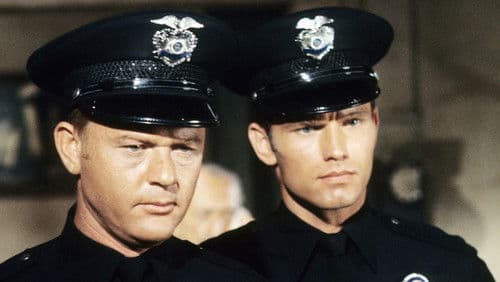 Adam-12 Bild 4
