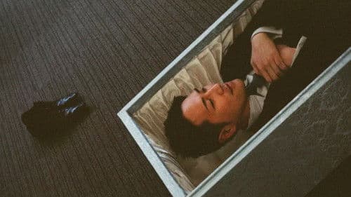 Family Romance, LLC Bild 2