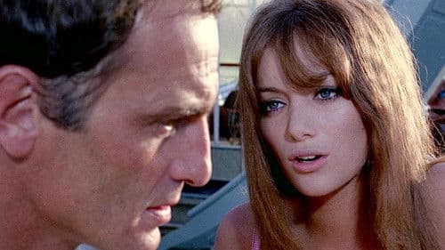 Das wilde Auge Bild 4