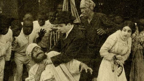 The Ghost of Twisted Oaks Bild 1