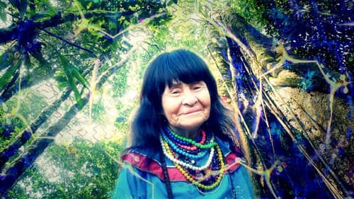 Shipibo: Learning Through the Light Bild 1