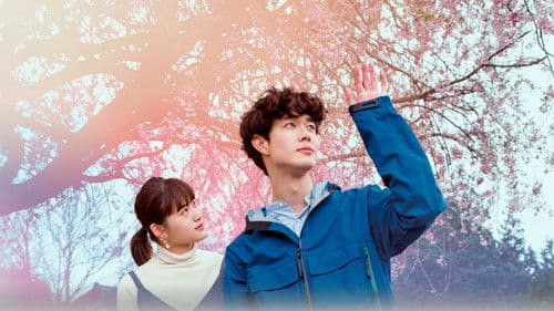 はざまに生きる、春 Bild 2