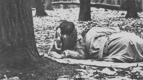 Droit de visite Bild 1