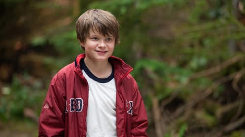 Wie durch ein Wunder Bild 7