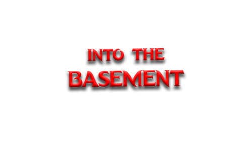 Into the Basement Bild 1